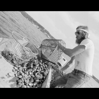 Black-and-white photograph of a bearded clammer in sunglasses tipping a wire basket of freshly dug clams onto a boat deck, a full clam rake beside him.