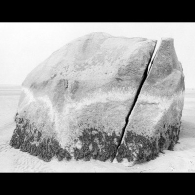Black-and-white photograph of a large glacial boulder split by a vertical crack, its lower half crusted with barnacles and rockweed, standing alone on a wide tidal flat.