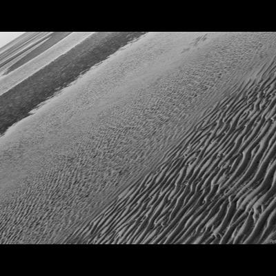 Black-and-white photograph, an abstract aerial view of wind-rippled tidal-flat sand, deep parallel channels carved by drainage running diagonally across the frame.