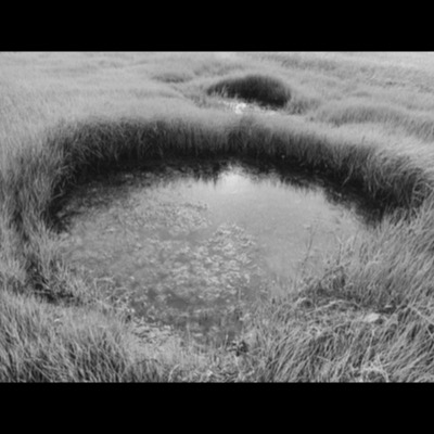 Black-and-white photograph of a round tidal pool ringed by tall marsh grass, its icy or algae-flecked surface catching soft light.