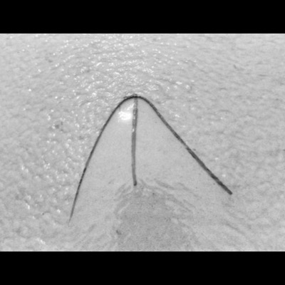 Black-and-white photograph, close up, of a thin blade of grass buried upright in wet sand, its arched blade tracing a wide V into the sand as the tide sparkles behind it.