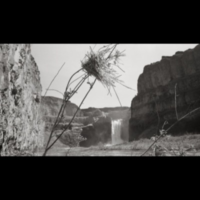 Black-and-white photograph of a bronze fisherman statue spearing salmon above a landscaped waterfall pond, the Tulalip Resort Casino tower rising behind it.