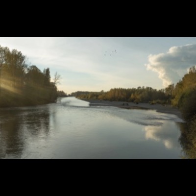 Black-and-white photograph of the Nooksack River at dusk, sunlight streaming through trees on the left bank as the water curves past a gravel bar toward distant forest, with a small flock of birds overhead.
