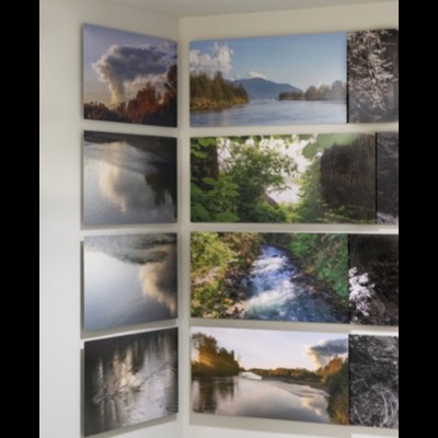 Angled view of the installation’s waterfall and rock-canyon panels in black-and-white alongside color images of sunlit river banks and tree canopy.