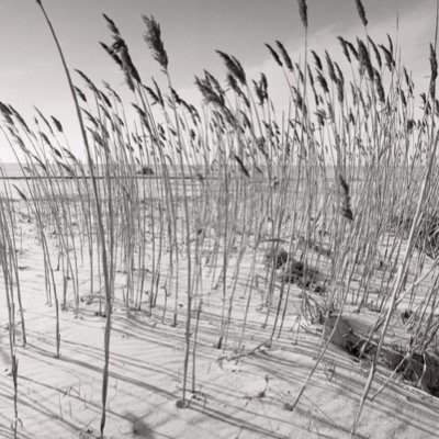 Photograph by Peter de Lory from The Rock, shown with the 2000 collection