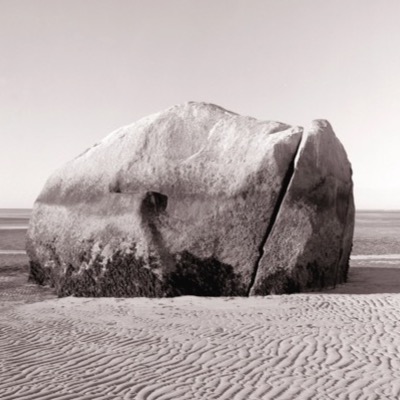 Black-and-white photograph of a lone seagull standing atop the boulder as it rests in calm water offshore, grass marsh in the foreground.