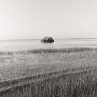 Black-and-white photograph of a single gull perched atop the boulder as it sits offshore in calm water, marsh grass framing the foreground.