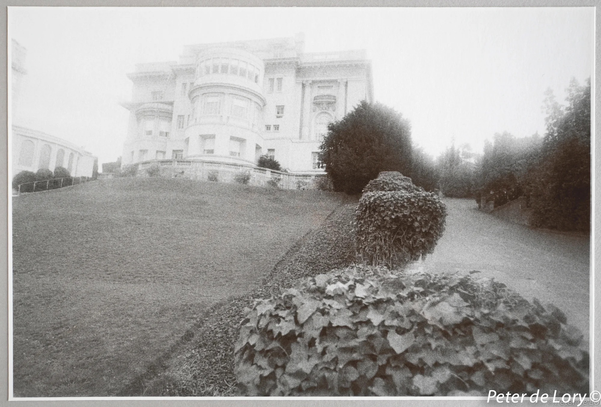 Pacific Heights Mansions